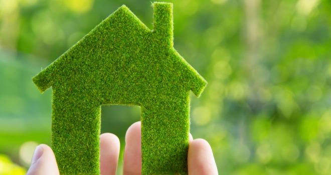 /green homes energy grant